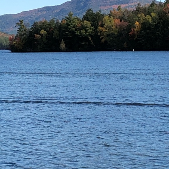 Meet your Posher, Janice - Picture 3 of 11